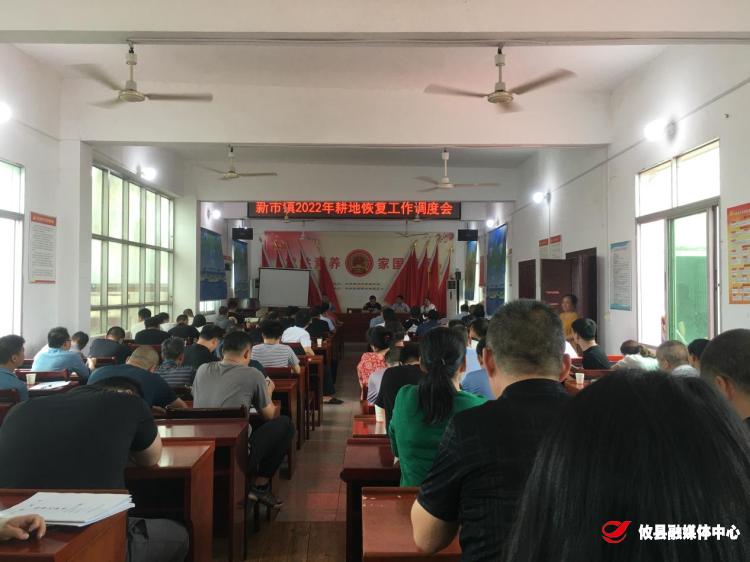新市镇召开耕地恢复工作调度会