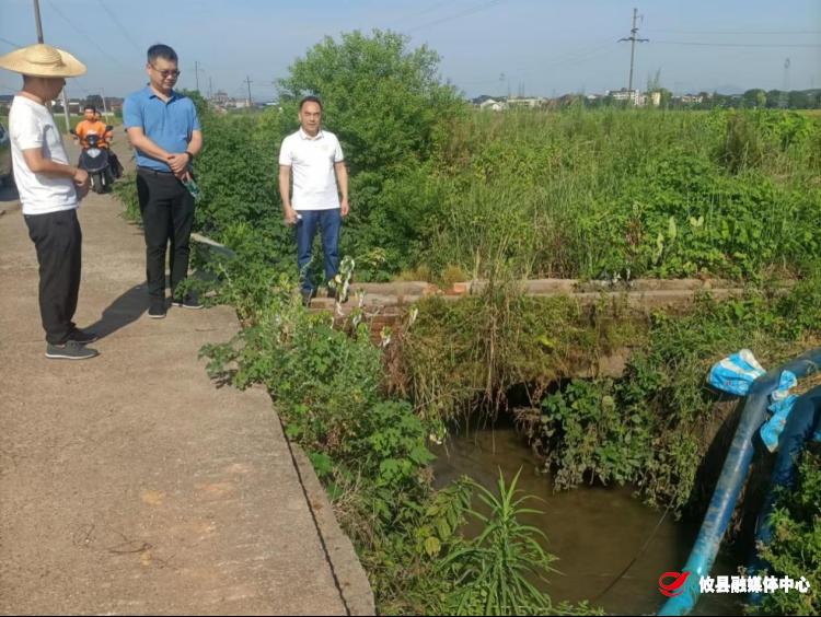 网岭镇：清渠引“活水” 抗旱保丰收