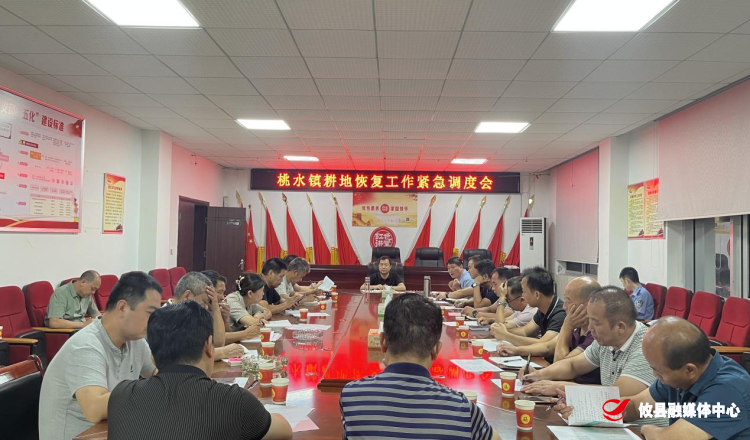 桃水镇：专题调度 全力推进耕地恢复工作