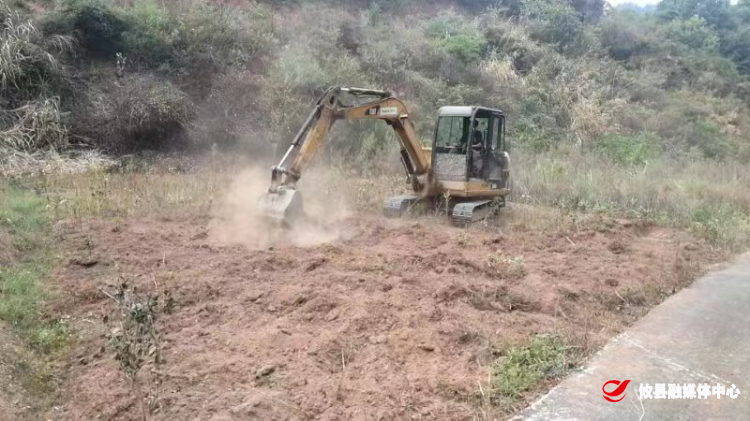 莲塘坳镇全力推进耕地恢复 让荒地变“粮田”