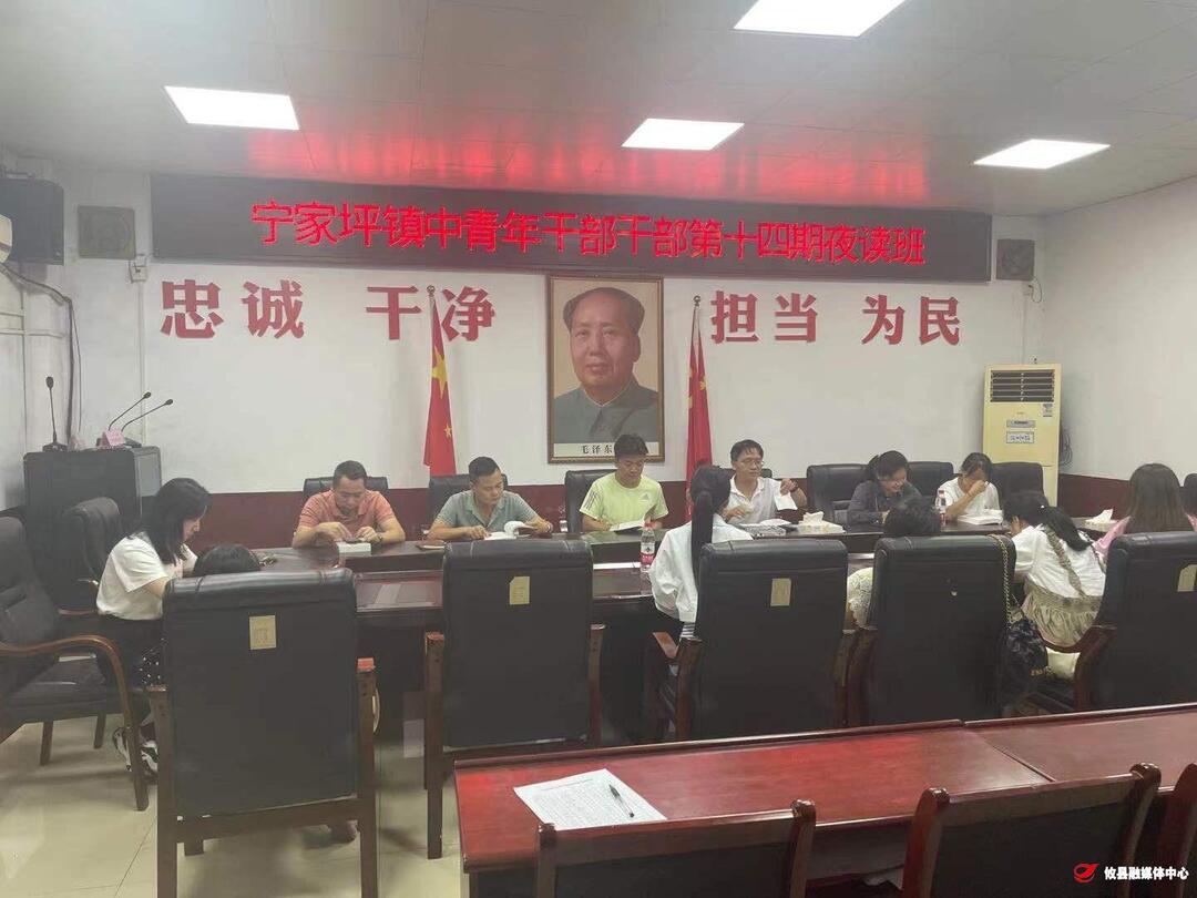 青春心向党 护航二十大 ——宁家坪镇开展中青年干部第十四期夜读班