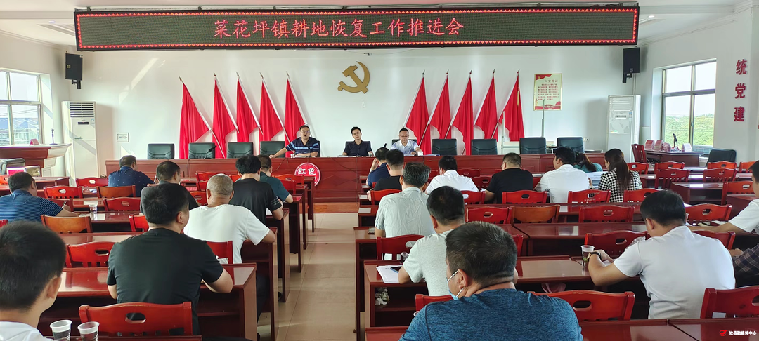 菜花坪镇：全力攻坚 恢复耕地