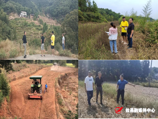 丫江桥镇开启耕地恢复行动  把“出走”的耕地找回来