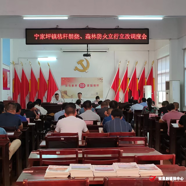 宁家坪镇召开秸秆禁烧、森林防火立行立改调度会