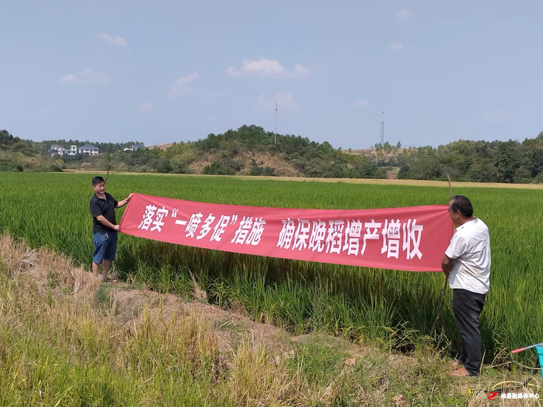 攸县：开展“一喷多促”行动，抗旱减灾保丰收