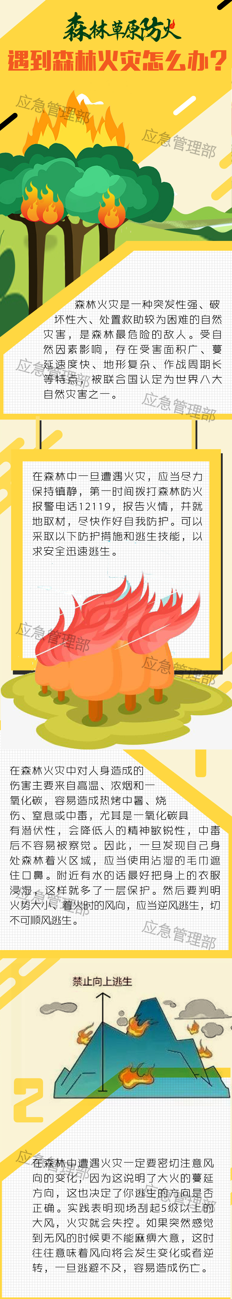 应急科普｜图说：遇到森林火灾怎么办？