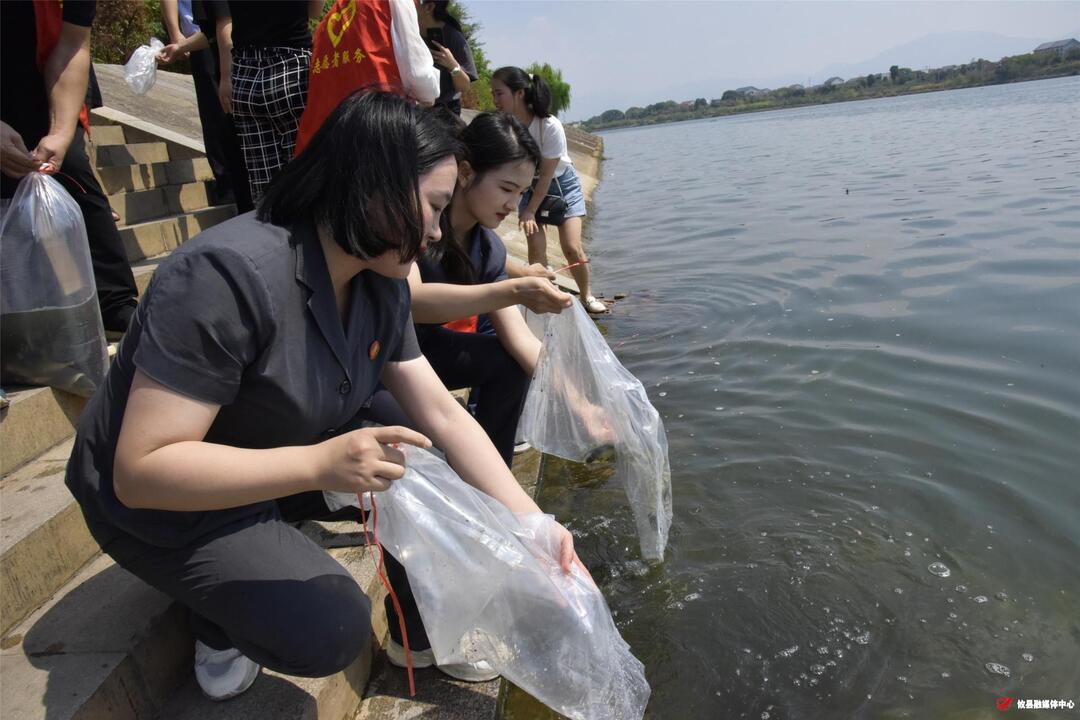 攸县人民法院：增殖放流守护清清攸水