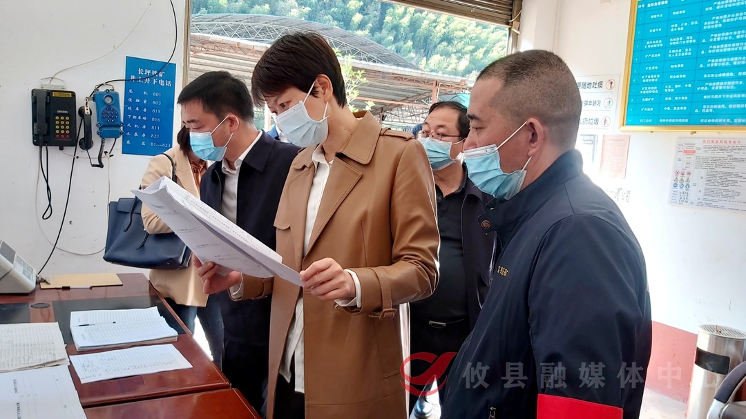 市委常委、统战部部长罗琼一行来攸督导安全生产工作