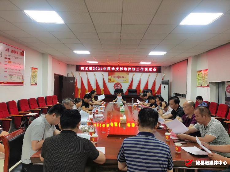 桃水镇召开2022年第四季度拆控违工作调度会