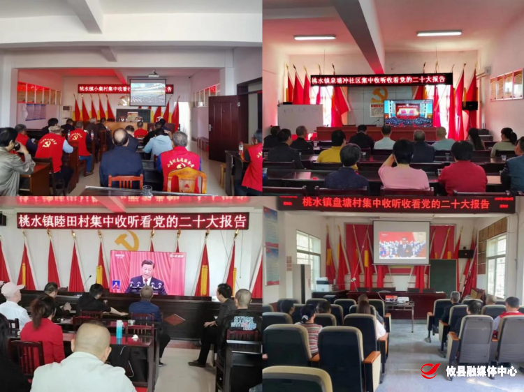 昂首奋进新时代  扬帆阔步新征程——桃水镇收听收看中国共产党第二十次全国代表大会开幕盛况