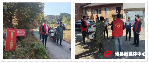 桃水镇： 护林防火不松懈 筑牢森林“防火墙”