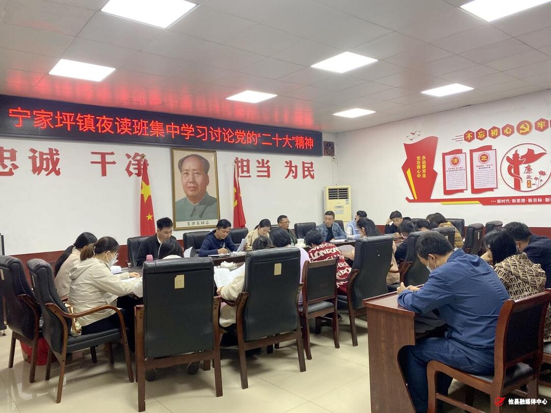 宁家坪镇：青年干部掀起学习党的二十大精神热潮