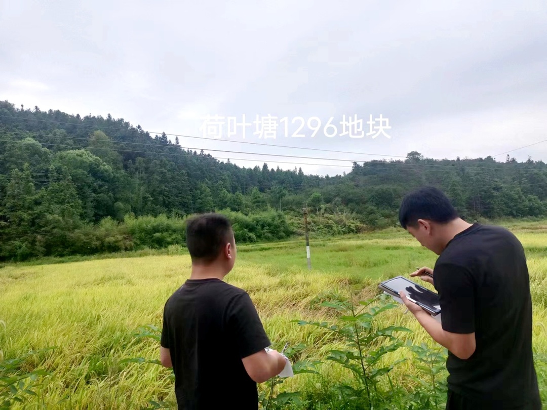 宁家坪镇召开耕地复垦工作推进会