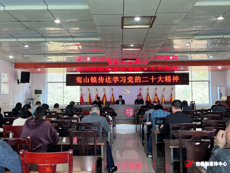 鸾山镇召开传达学习党的二十大精神大会