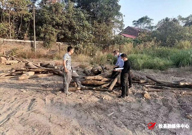 攸县林业局依法清理整顿木材市场初见成效