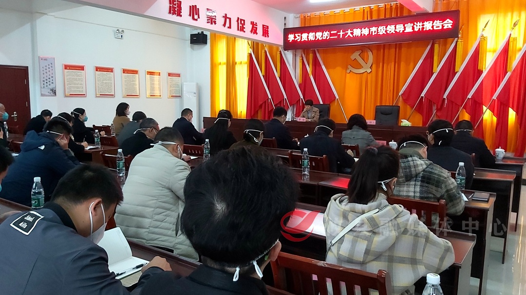 【党声“攸”扬】市委常委、统战部长罗琼来攸宣讲党的二十大精神