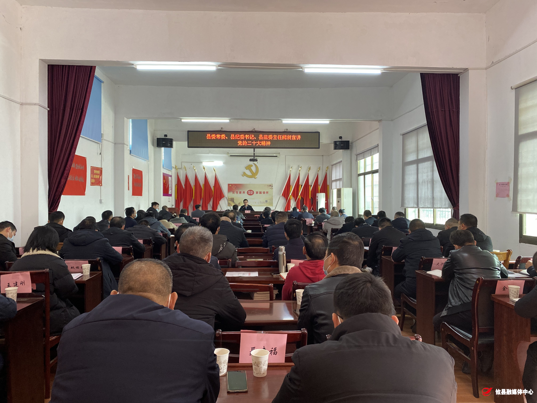 宁家坪镇开展党的二十大精神宣讲活动