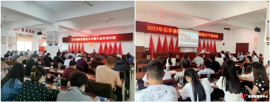 【干部能力提升年】石羊塘镇：大培训促推基层干部能力大提升