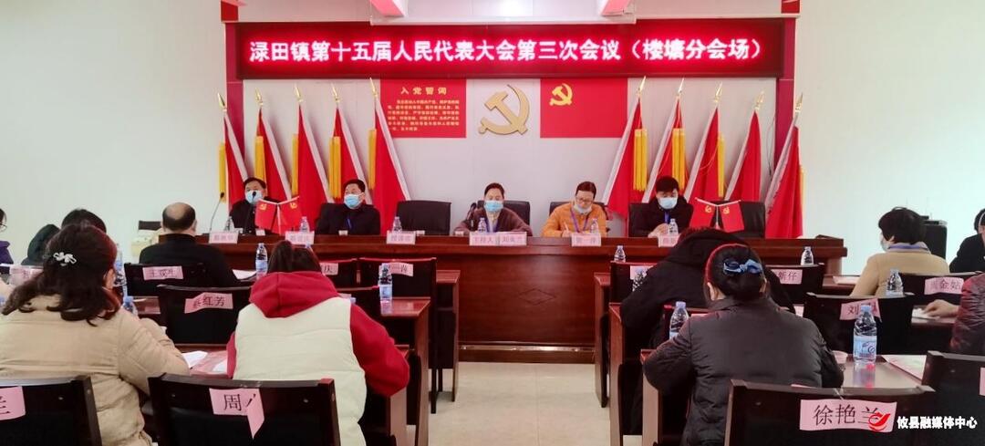 渌田镇召开第十五届人民代表大会第三次会议暨人大代表学习贯彻党的二十大精神培训会