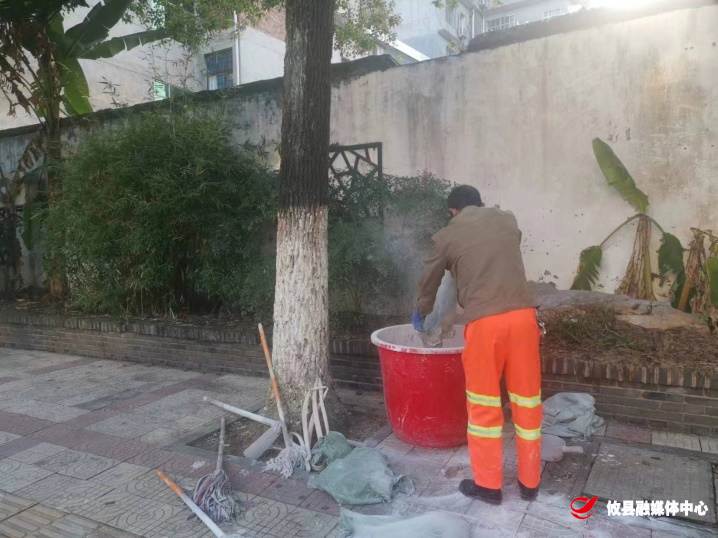 树木刷白穿新衣 抗寒防虫好过冬