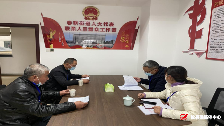 春联街道：乡村振兴调研  助力乡村建设 人大代表在行动