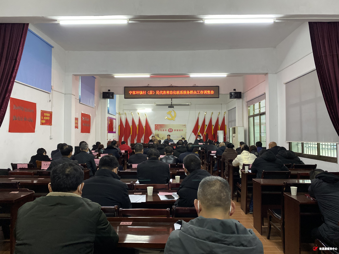 宁家坪镇召开村（居）民代表常态化联系服务群众工作调度会