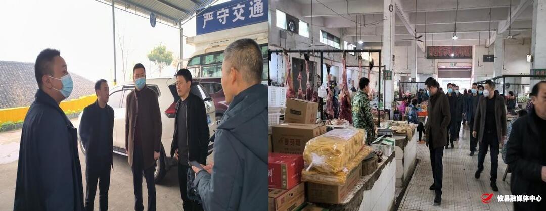 县领导到桃水镇督导春运及安全生产工作
