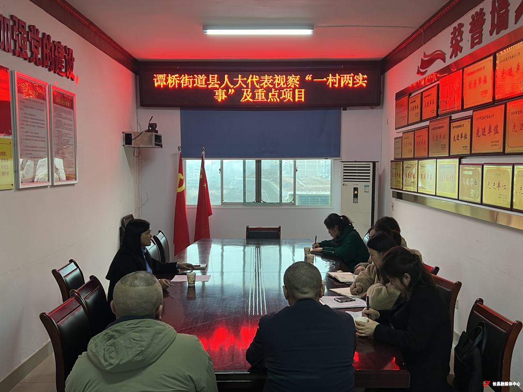 【谭桥街道】人大在行动：民生实事 我们未曾缺席