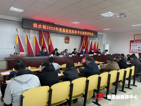 桃水镇召开2022年度基层党组织书记述职评议会暨年终总结会