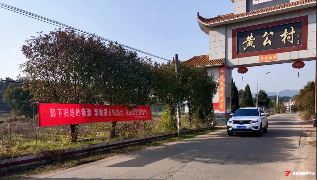 宁家坪镇：全镇干群齐动手 洁净家园过大年