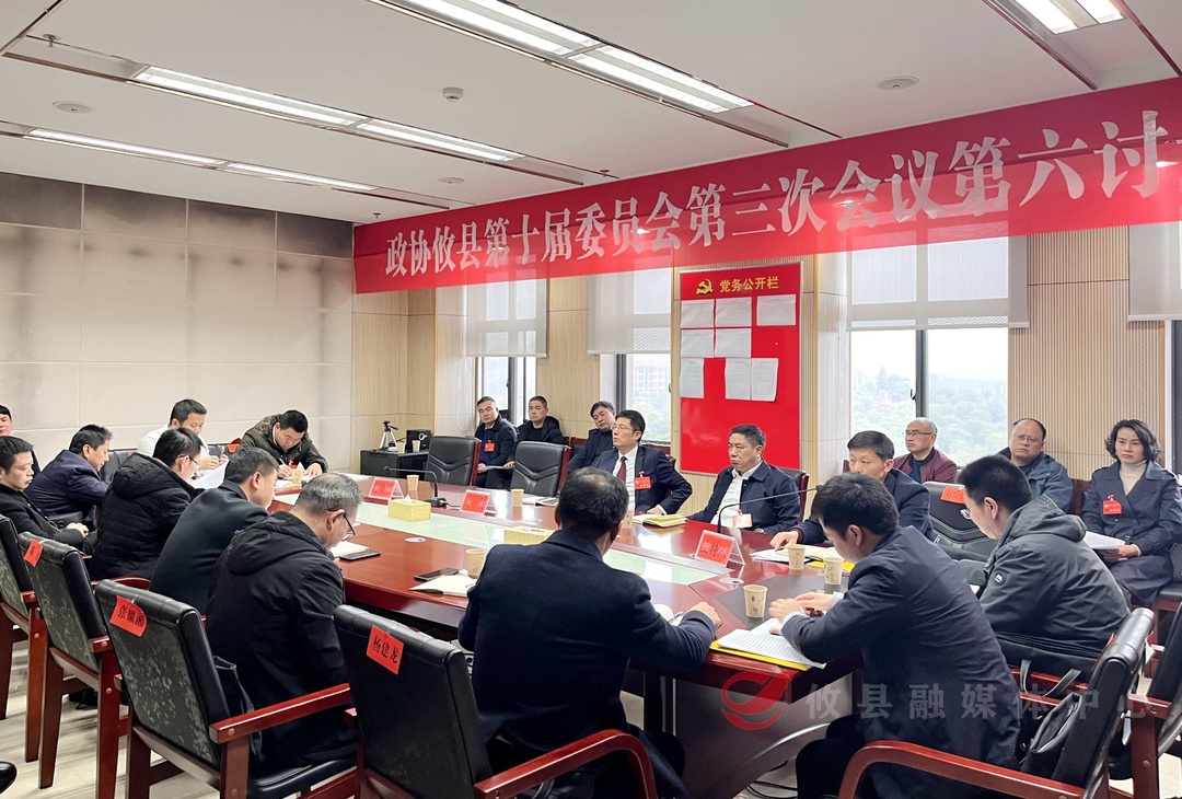 【两会直通车•攸州风正劲】文毅参加政协委员联组讨论