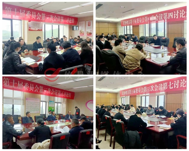 【两会直通车•攸州风正劲】县领导参加政协联组讨论