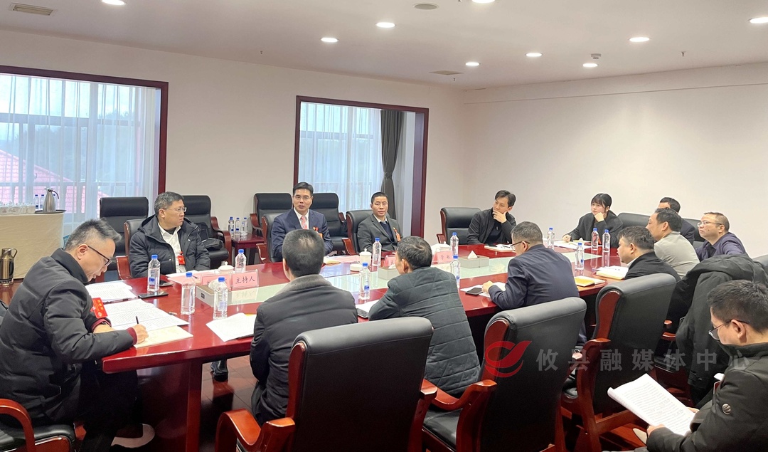 【两会直通车•攸州风正劲】武挪强参加政协委员联组讨论