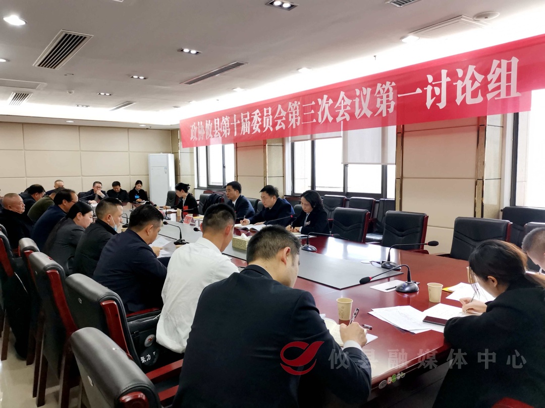 【两会直通车•攸州风正劲】李鹏程参加政协委员联组讨论