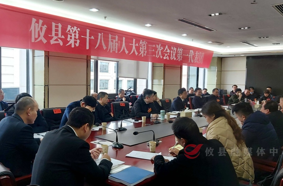 【两会直通车•攸州风正劲】李鹏程参加人大代表分团讨论