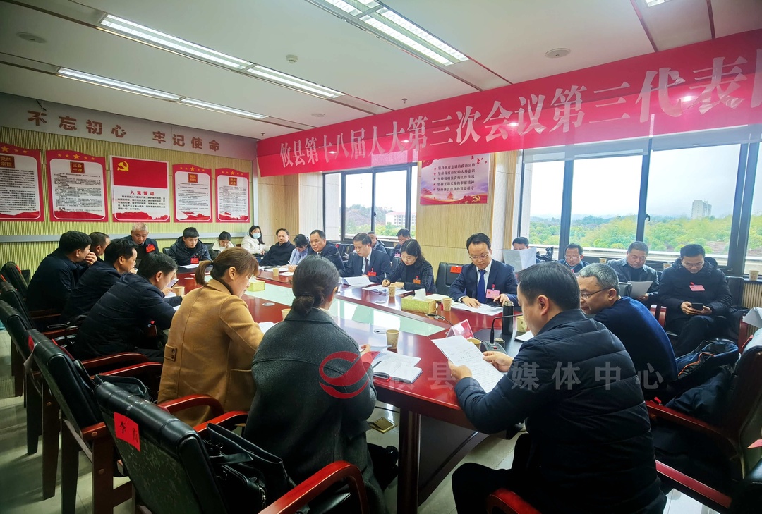 【两会直通车•攸州风正劲】冯杰参加第三代表团讨论