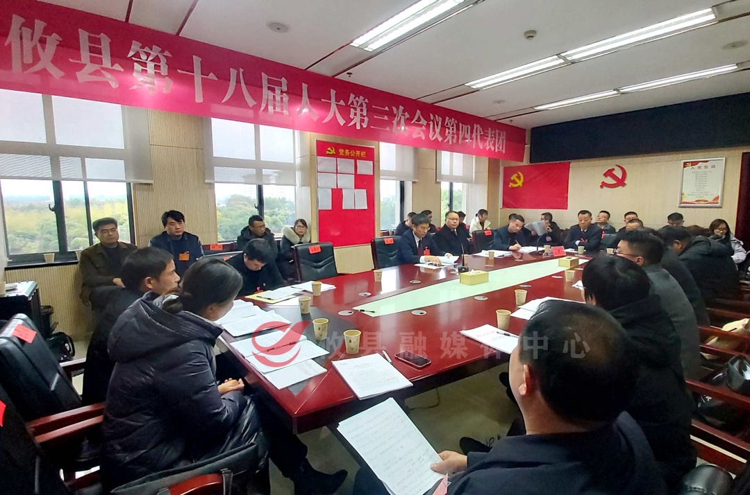 【两会直通车•攸州风正劲】文毅参加人大代表分团讨论