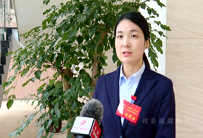 【两会直通车•攸州风正劲】畅谈发展变化、展望美好未来！县人大代表热议政府工作报告