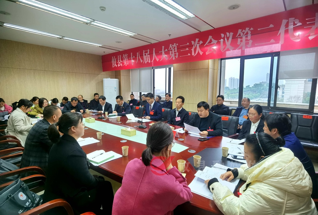 【两会直通车•攸州风正劲】武挪强参加第二代表团讨论