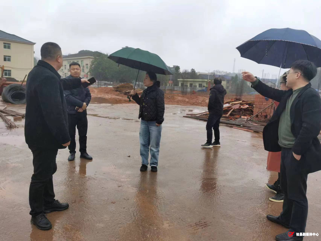 县领导调研酒埠江医养中心项目建设工作