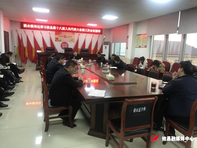 桃水镇传达学习县“两会”精神