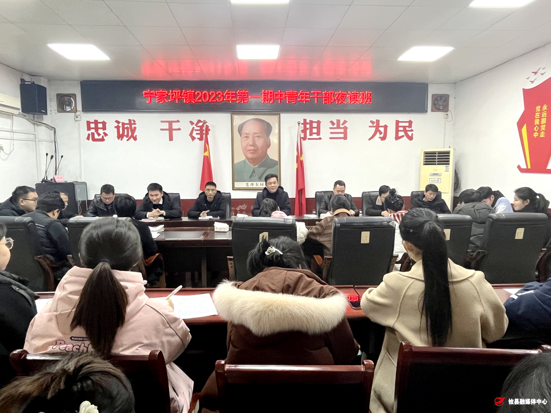 宁家坪镇举办2023年第一期中青年干部夜读班