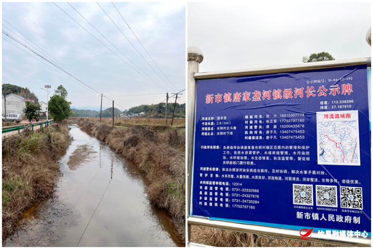 新市镇：保护河水清洁安全，打造生态幸福河流