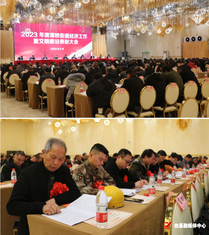 谭桥街道召开经济工作暨文明建设表彰大会