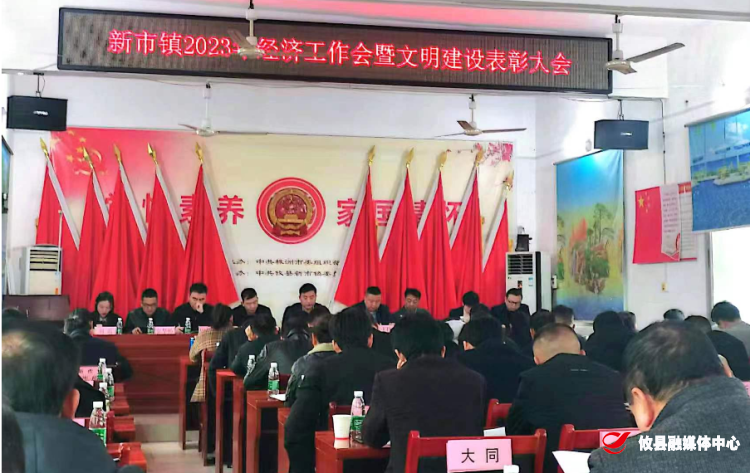 新市镇召开经济工作暨文明建设表彰大会