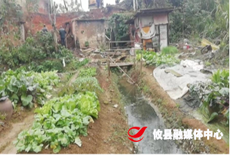 酒埠江镇：旧貌换新颜，改厕暖民心