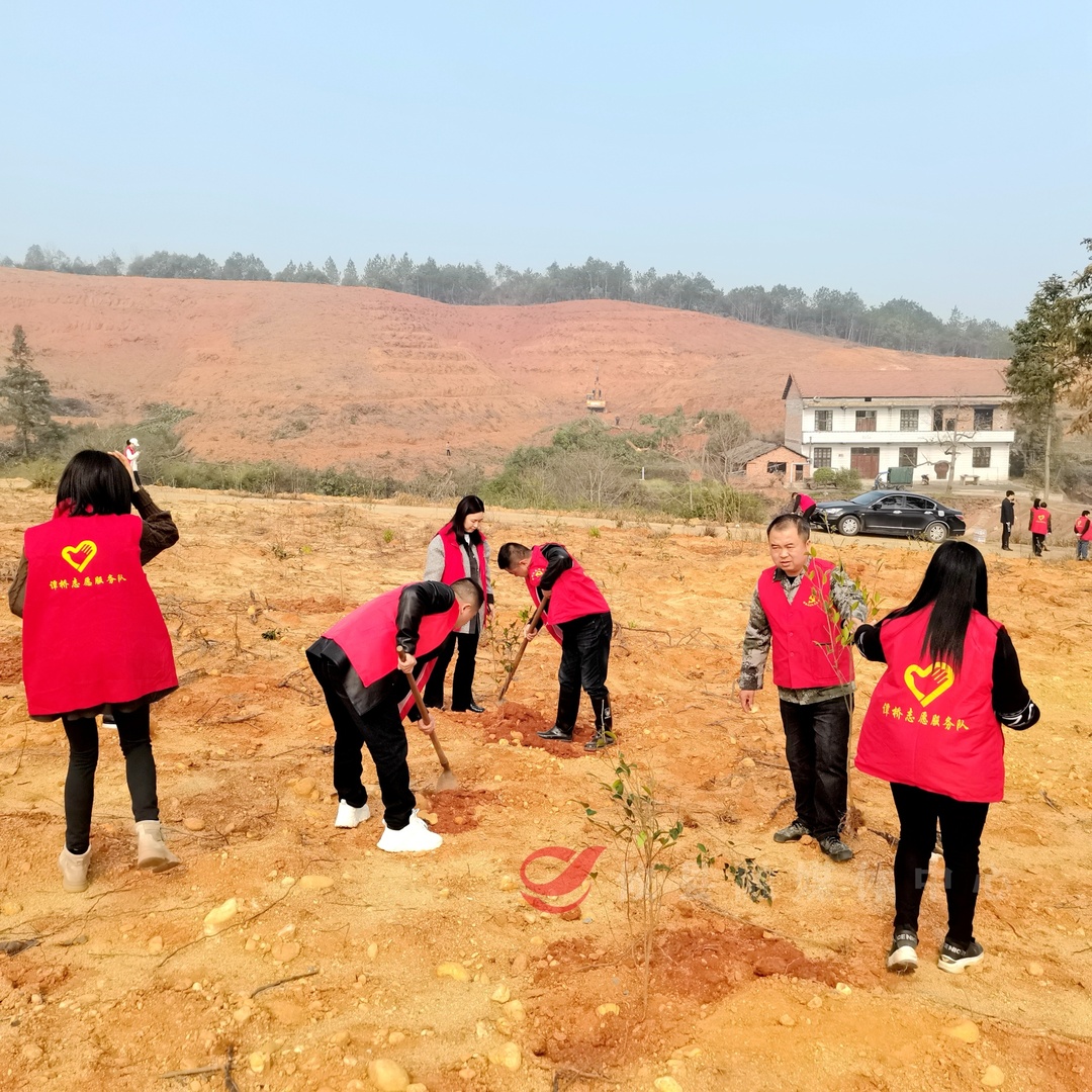 不负春光添新绿，植树造林正当时！谭桥街道积极开展义务植树活动
