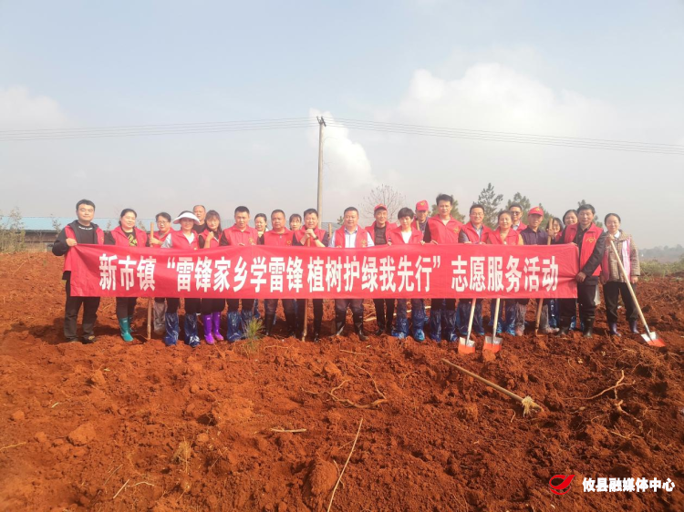 新市镇开展“雷锋家乡学雷锋 植树护绿我先行”志愿服务活动