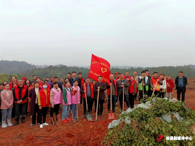 宁家坪镇：学雷锋，做实事，褐色荒山换绿装