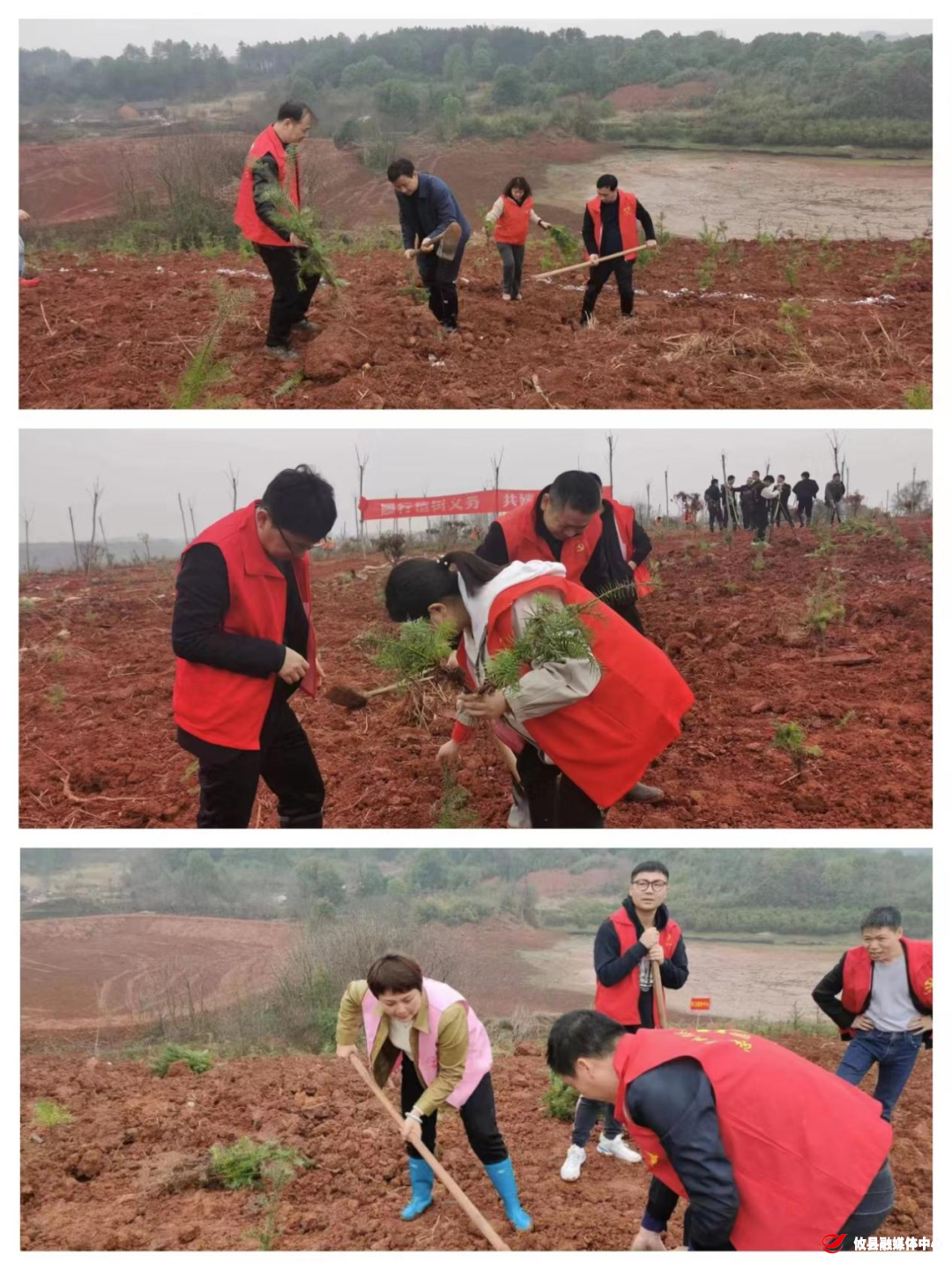 江桥街道：正是植树好时节，不负年年好春光